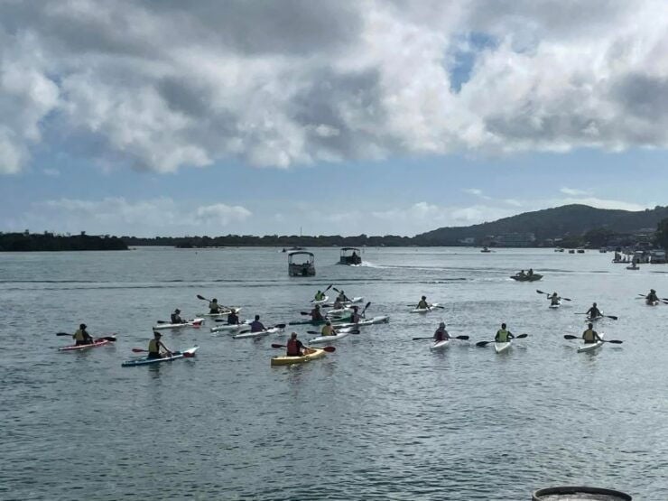 Noosa River: Mangroves and Mansions Guided Kayak Tour - Activity Details
