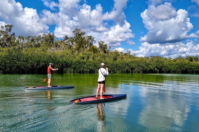 Noosa Stand Up Paddle Group Lesson - Benefits of Participating in a Group Lesson
