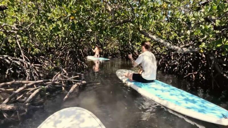 Noosa Stand Up Paddle & Mangrove Tunnel Tour (Self Guided) - Guided Segment and Preparation  