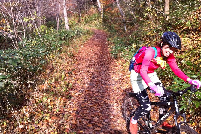 Nopporo Forest Mountain Bike Tour From Sapporo, Presenting a Retro Cycle Cap - Tour Overview