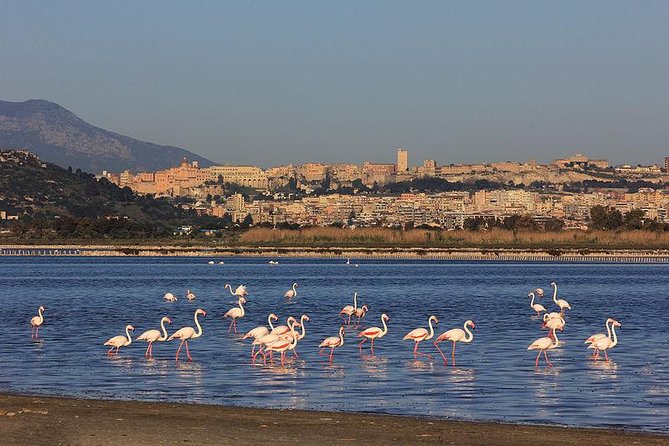 Nora Tour From Cagliari - Cancellation Policy