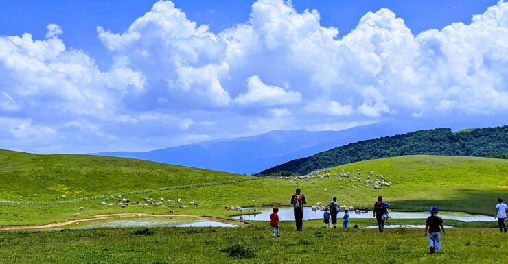 Norcia: Guided Hiking Tour in the Countryside - Experience Highlights