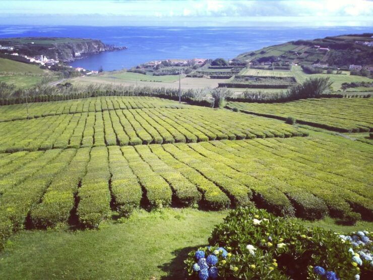 Nordeste Private Tour (2 People) - Tour Experience Details