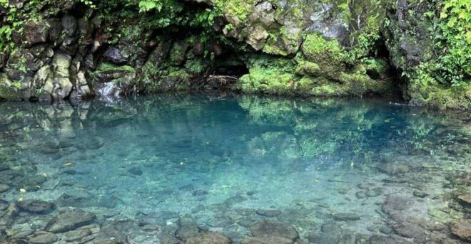 Nordeste Waterfalls Half Day Hike - Language Options
