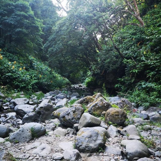 Nordeste Waterfalls Half Day Hike - Activity Highlights