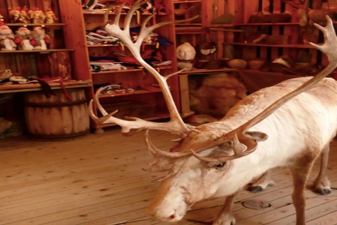 Nordkapp Half-Day North Cape Shore Excursion - Norway - Cost and Value