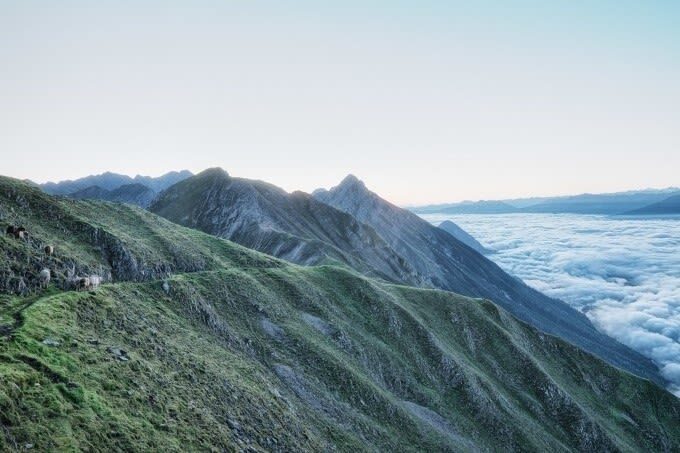 Nordkette Cable Car to the Top of Innsbruck with Alpine Zoo - The Alpine Zoo adds wildlife and conservation