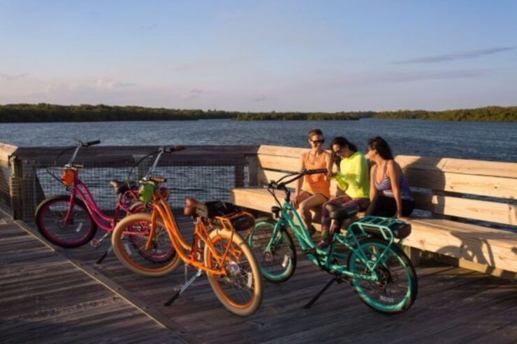 Norfolk: Electric Bike Rental - Experience Highlights