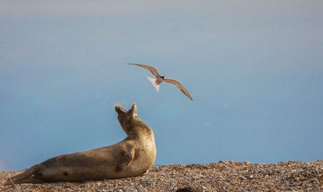 Norfolk: Hidden Gems Game and Big Britain Quiz Tour App - Explore Off-the-beaten-path Locations