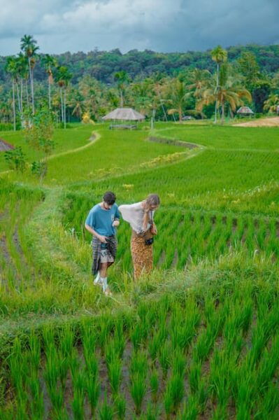 Norht Lombok Waterfall Day Trip : Sendang Gile & Tiu Kelep - Local Culture and Etiquette