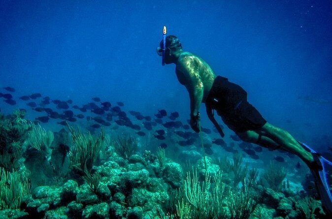 Norman Island - The Caves & The Indians - Sailing & Snorkel Tour - FAQ