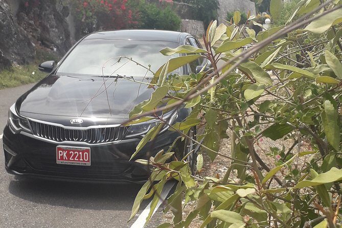 Norman Manley Airport to Strawberry Hills - The Itinerary: From Norman Manley Airport to Strawberry Hills