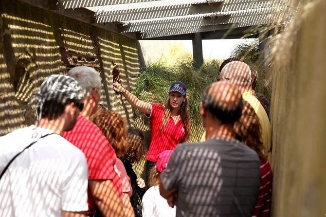 Normandy Battlefields Half Day Tour - Canadian World War II Sites - Tour Highlights