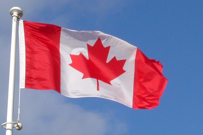 Normandy Battlefields Half Day Tour - Canadian World War II Sites - Reviews Summary