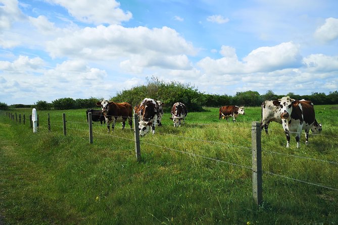 Normandy Battlefields Tour - American Sites (E1) - The Sum Up