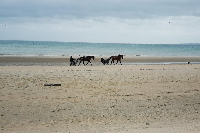 Normandy Beaches Half-Day Afternoon Trip From Bayeux (A2) - Common Questions