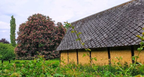 Normandy DDay Beaches Private Tour From Your Hotel in Paris - Common Questions