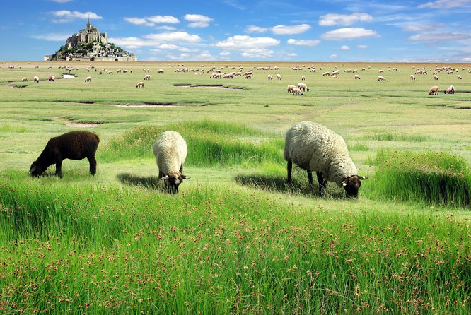 Normandy Loire Valley 3-Days Trip With Mont Saint Michel and Castles From Paris - Tour Overview