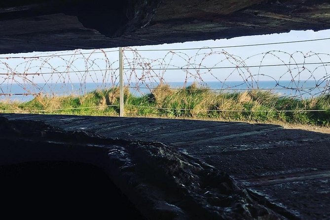 Normandy Small-Group Day Trip D-Day Battlefields & Landing Beaches From Paris - Hosts Response and Viator Information