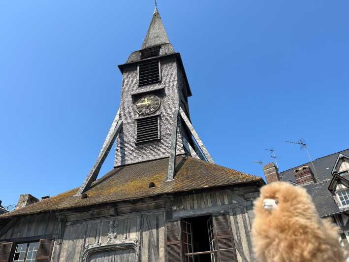Normandy Tour: Honfleur, Etretat, Rouen by Luxury Car - Key Points