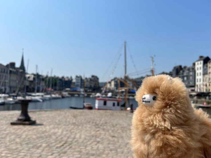 Normandy Tour: Honfleur, Etretat, Rouen by Mini-Van - Itinerary Highlights