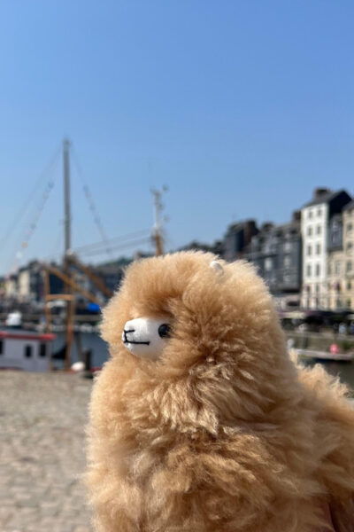 Normandy Tour: Honfleur, Etretat, Rouen by Mini-Van - Questions You May Have