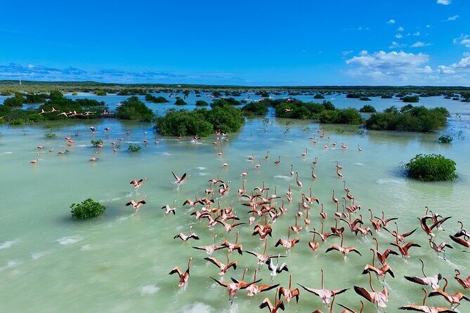 North and Middle Caicos Island Private Tour - Good To Know