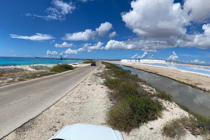North and South Tour with Elgin a Local Guide - Exploring Bonaire: An Honest, In-Depth Review of the North and South Tour