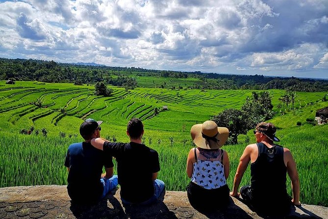 North and West Bali Private Transport-Only Tour  - Seminyak - Itinerary