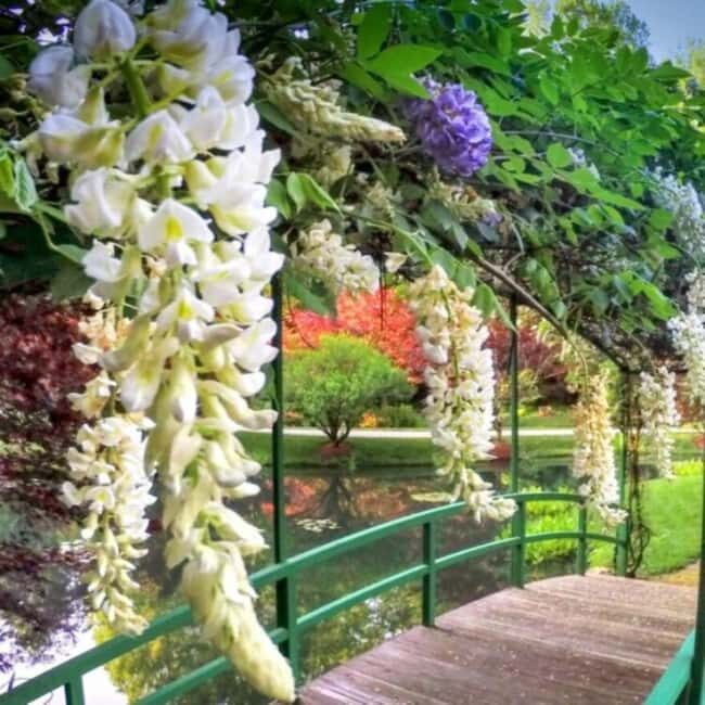 North Atlanta: Gibbs Gardens Self-Guided Slingshot Tour - Good To Know