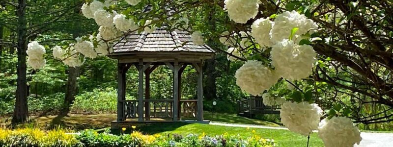 North Atlanta: Gibbs Gardens Self-Guided Slingshot Tour - Exploring the Slingshot Experience