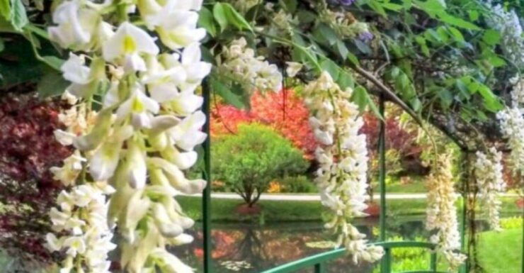 North Atlanta: Gibbs Gardens Self-Guided Slingshot Tour - Experience Description