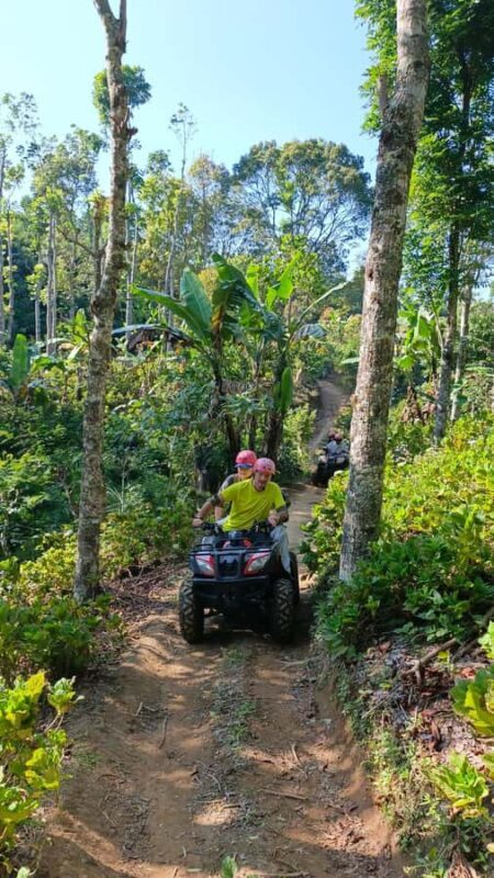 North Bali: ATV Ride, Jungle Trek, and Waterfall Jumping - An In-Depth Look at the North Bali Experience