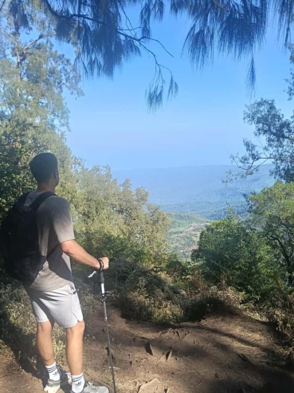 North Bali Authentic: Off-the-Beaten-Path Experience - An In-Depth Look at the North Bali Private Tour