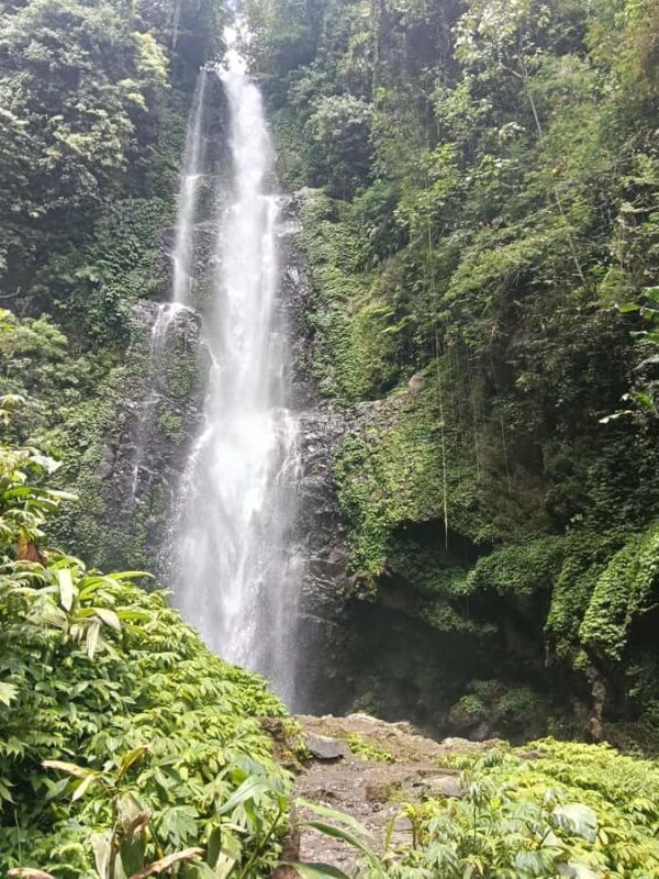 North Bali Authentic: Off-the-Beaten-Path Experience - Who Is This Tour Best For?