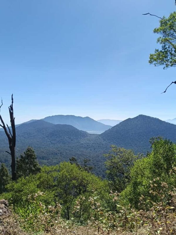 North Bali Authentic: Off-the-Beaten-Path Experience - Lunch and Rest Breaks