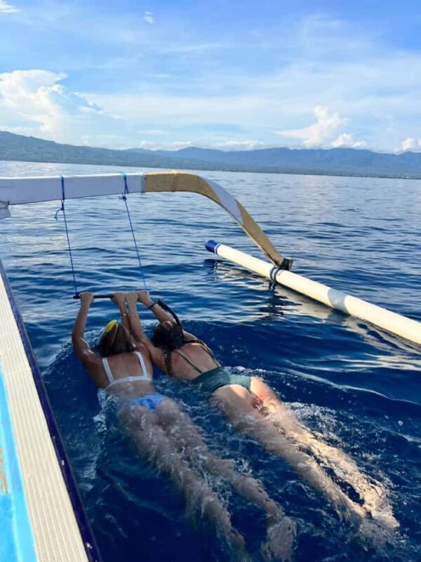 North Bali: Dolphin, Ulun Danu Temple, & Banyumala Waterfall - Practical Details & Experience Highlights