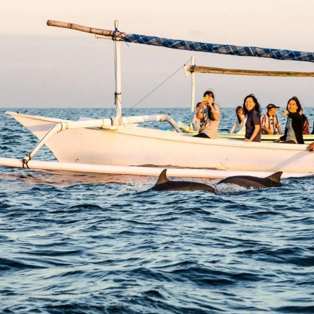 North Bali : Dolphin Wacthing Tour and Waterfall - What to Bring