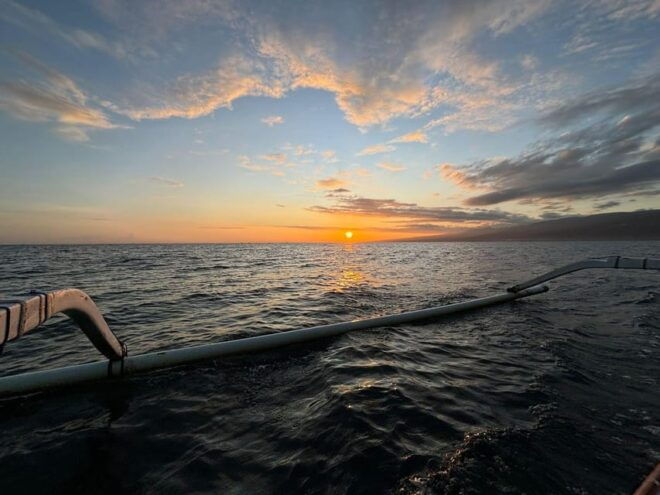 NORTH BALI : Dolphin Watching and Hot Spring Tour - Dolphin Watching Experience