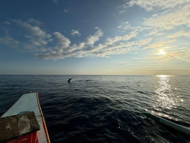 NORTH BALI : Dolphin Watching and Hot Spring Tour - Inclusions and Amenities