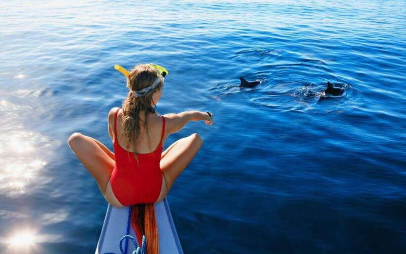 North Bali: Dolphin Watching and Snorkeling Tour - A Detailed Look at the Tour Experience