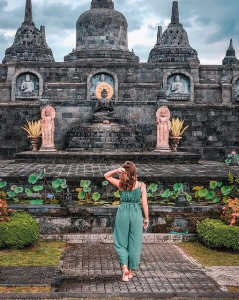 North Bali: Dolphins, Buddhist Temple, Hot Spring,Banyumala - Inclusions of the Tour