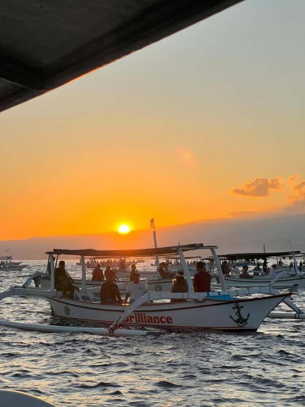 North Bali: Dolphins, Munduk Waterfall, and Twin Lakes Tour - A Detailed Look at the North Bali Tour Experience