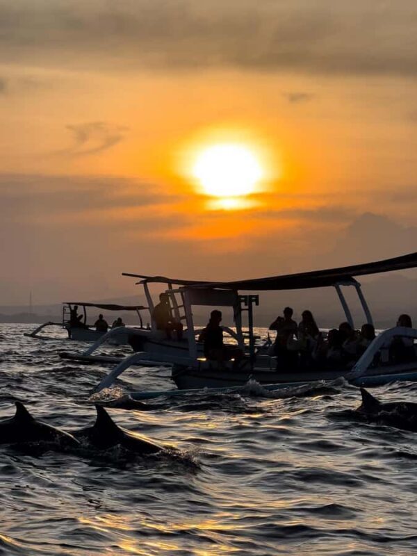 North Bali: Dolphins, Munduk Waterfall, and Twin Lakes Tour - Practical Details: What to Expect