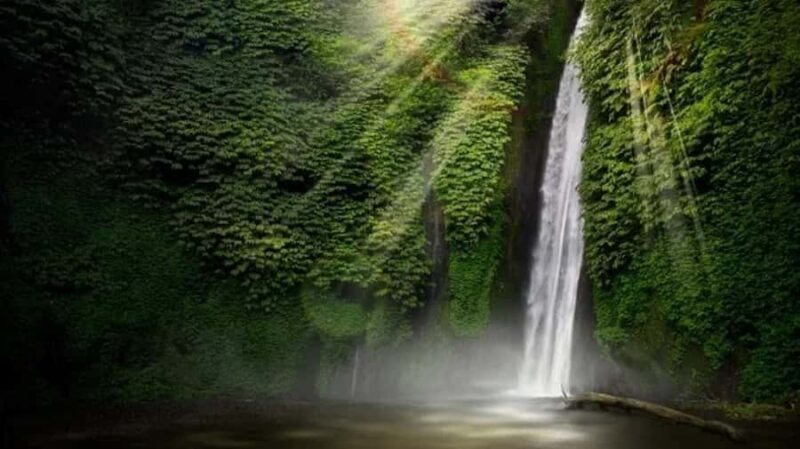 North Bali: Explore Munduk Waterfall Trekking Experience - Good To Know