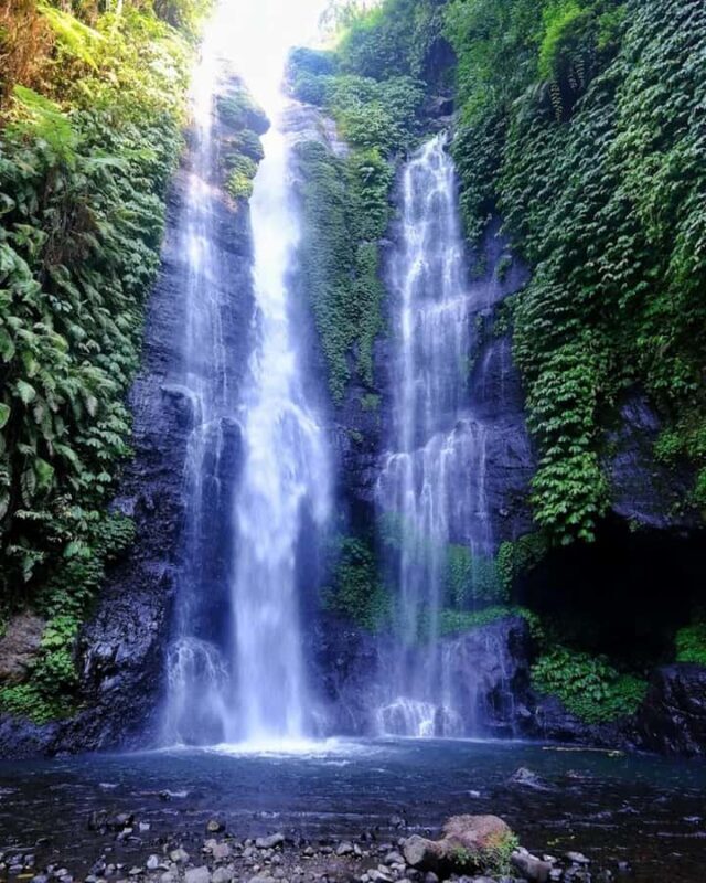 North Bali: Explore Munduk Waterfall Trekking Experience - Why This Tour Works