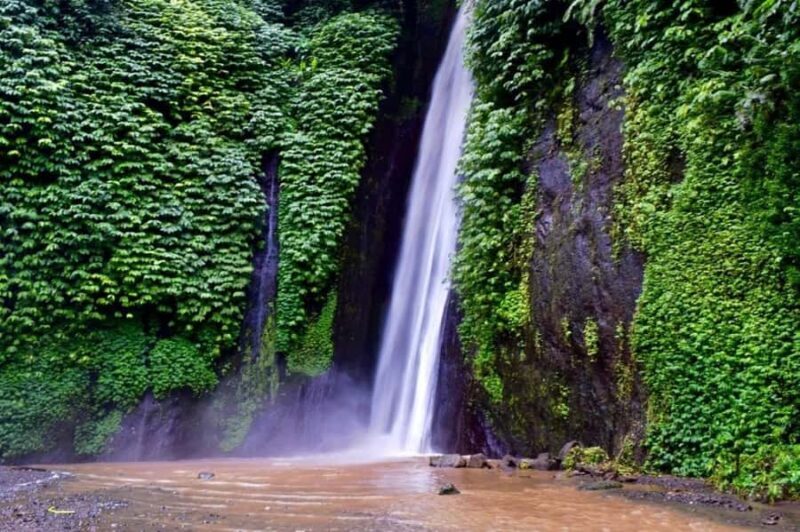 North Bali: Explore Munduk Waterfall Trekking Experience - An In-Depth Look at the Munduk Waterfall Trekking Experience