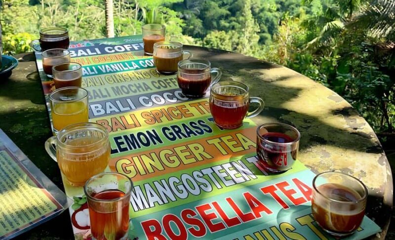 North Bali Explorer: Bayan Ancient Trees & Holy Ritual Tour - Discovering the Sacred and Natural in North Bali