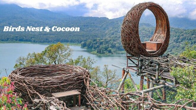 North Bali: Full Day INSTAGRAM HIGHLIGHTS Tour - What to Bring