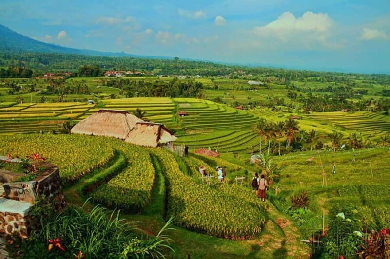 North Bali Grand Tour with Local Guide - Exploring North Bali with a Local Guide: A Deep Dive into Authentic Beauty